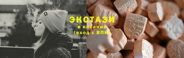 ECSTASY Богданович