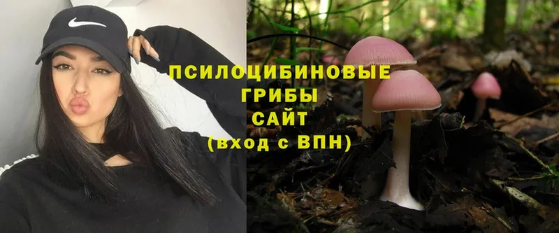 Галлюциногенные грибы Magic Shrooms Ртищево